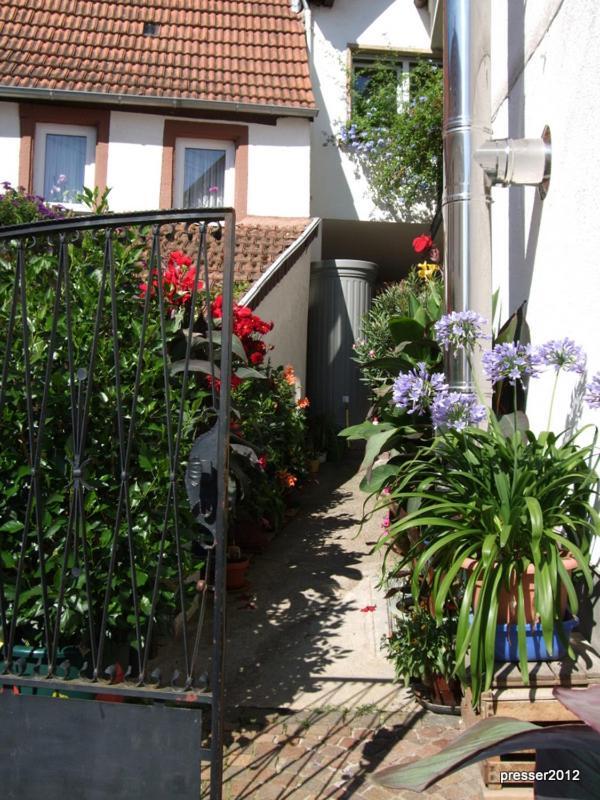 Einfache Monteurwohnung Mit Wlan Und Sat Tv, Netflix Frankweiler Exterior foto